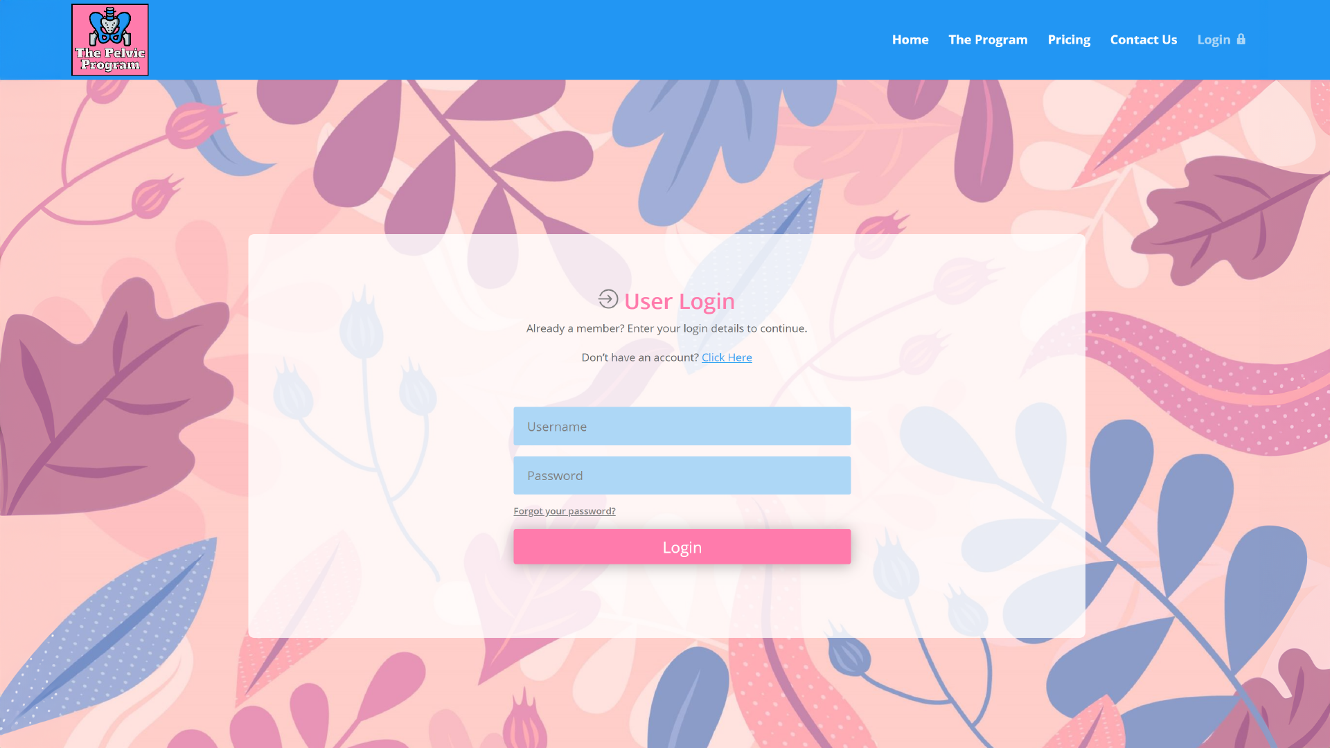 Educational program website login page